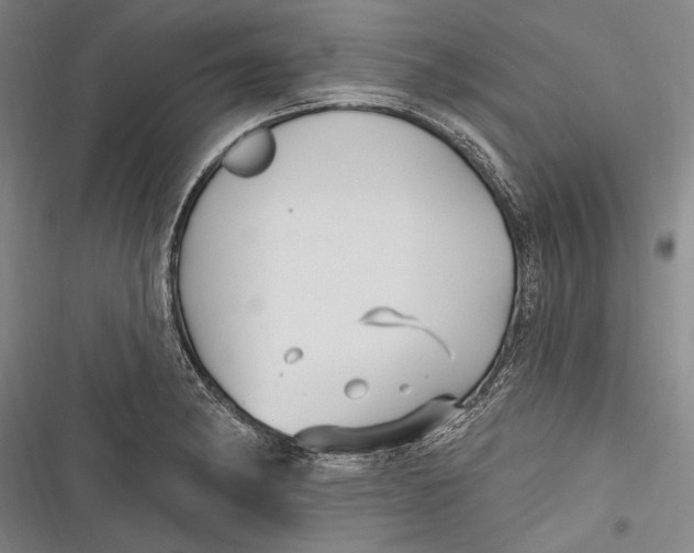X0000116851182201001121213