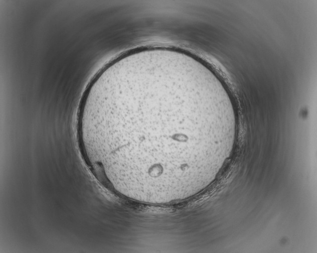 X0000116851183201001121213