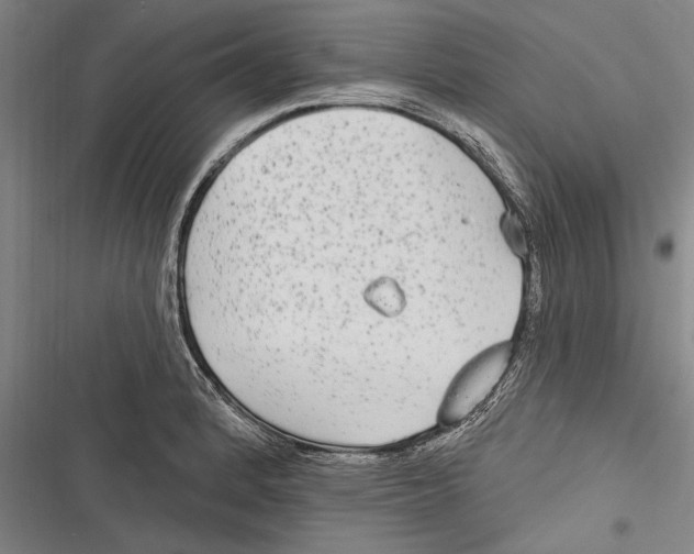 X0000116851184201001121213