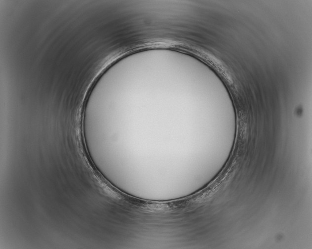 X0000116851186201001121213