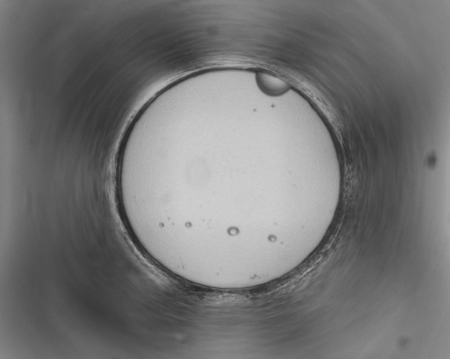 X0000116851187201001121213