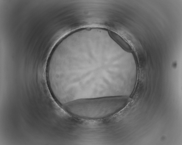 X0000116851189201001121213