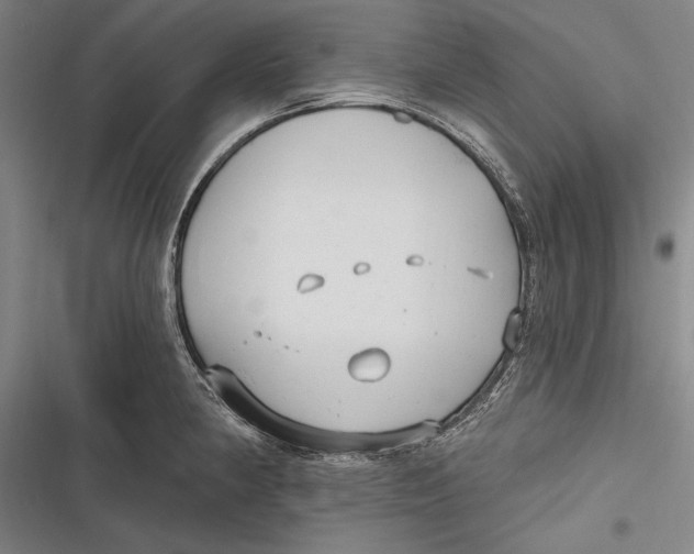 X0000116851190201001121213