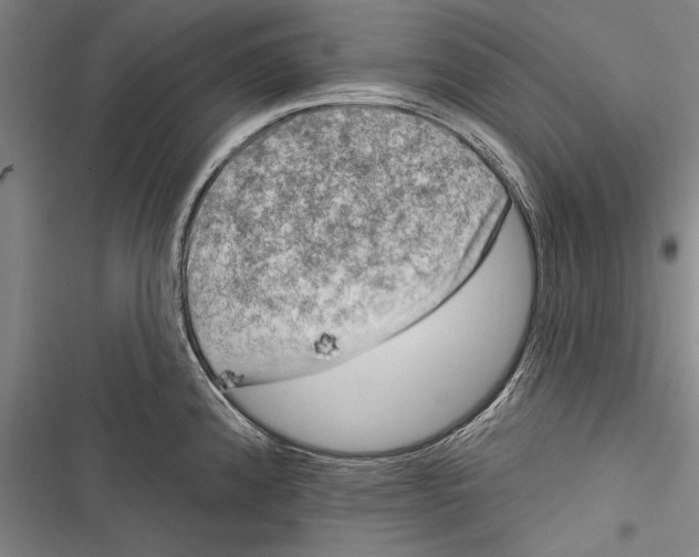 X0000116851192201001121213