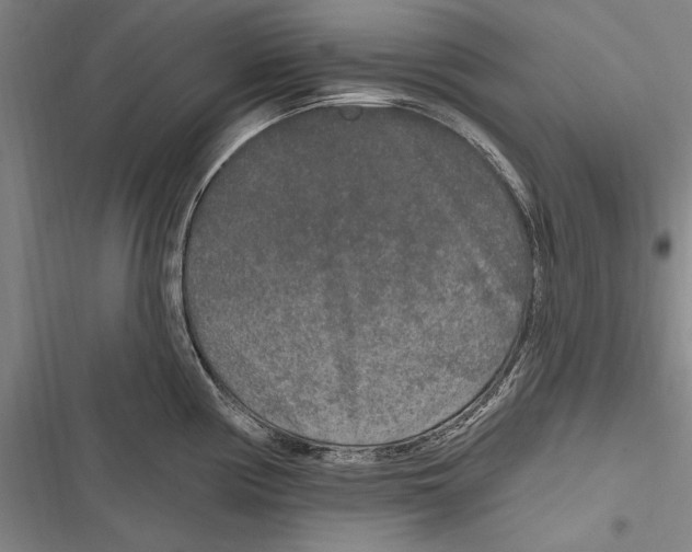 X0000116851194201001121213