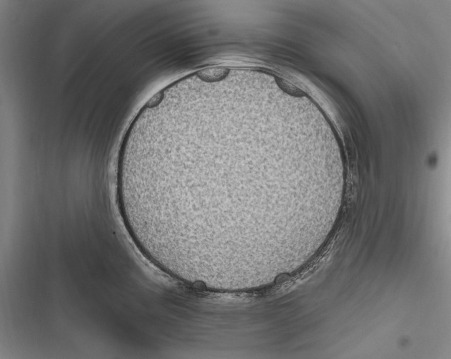 X0000116851195201001121213