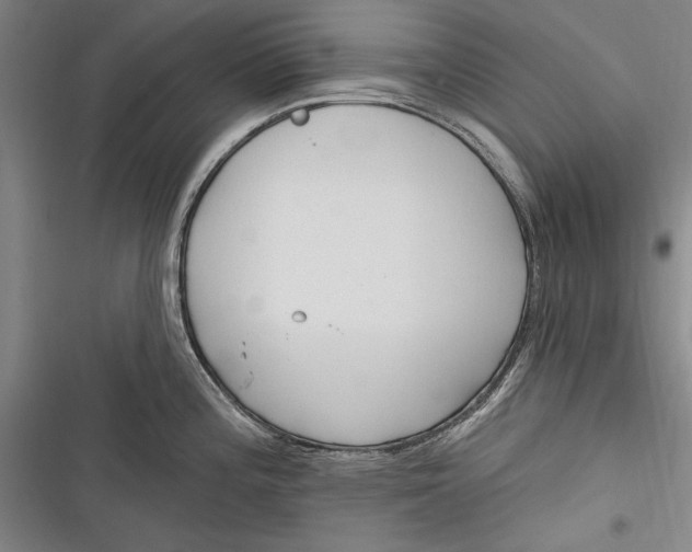 X0000116851196201001121213