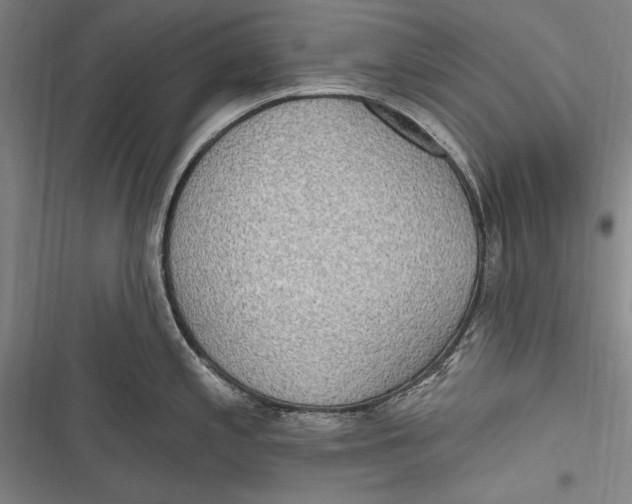 X0000116851197201001121213