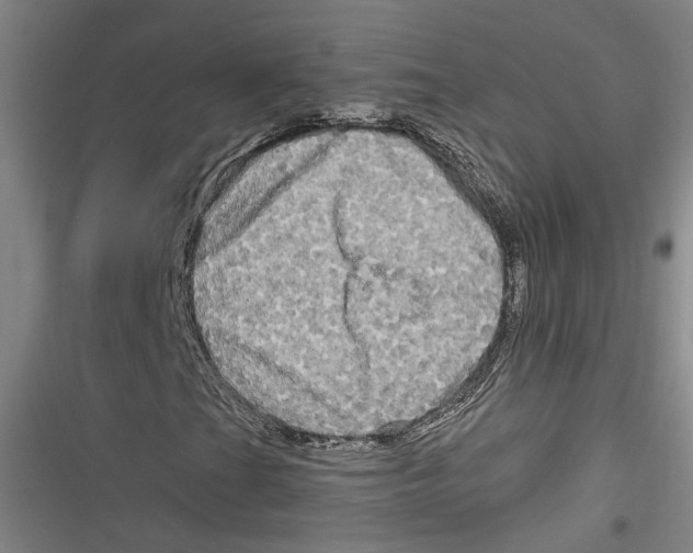 X0000116851201201001121212