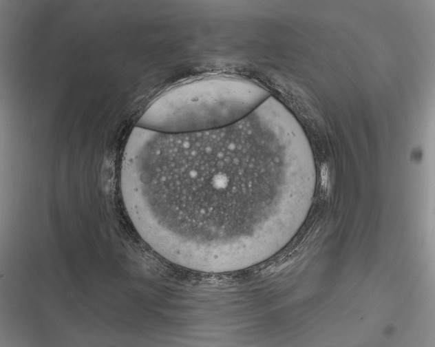 X0000116851203201001121213