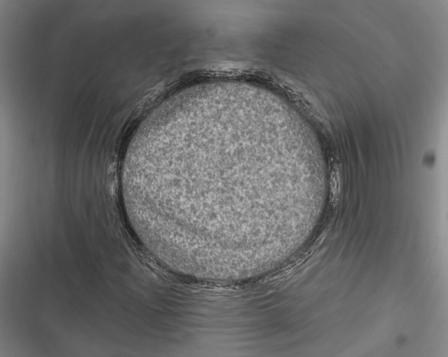 X0000116851204201001121213