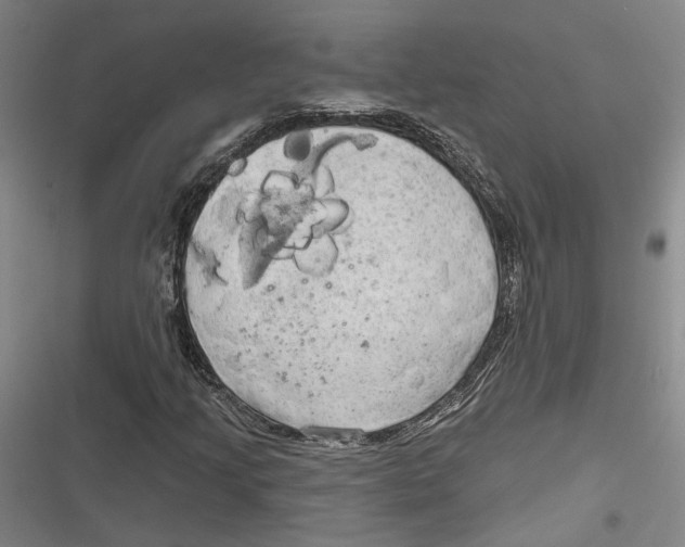 X0000116851205201001121213