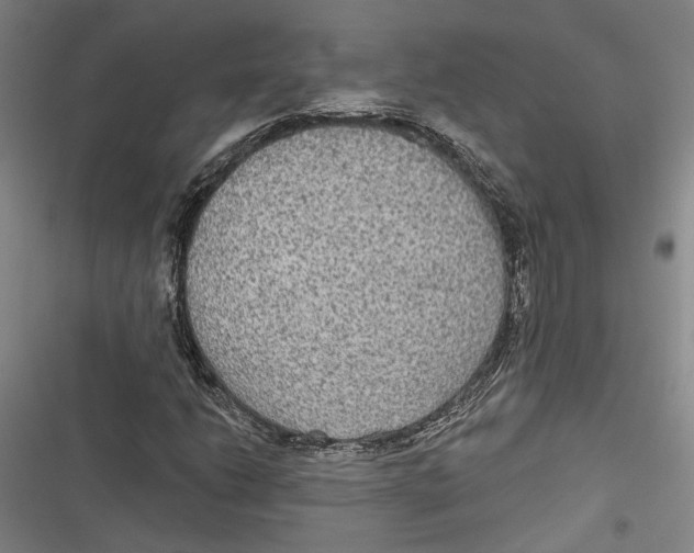 X0000116851206201001121213