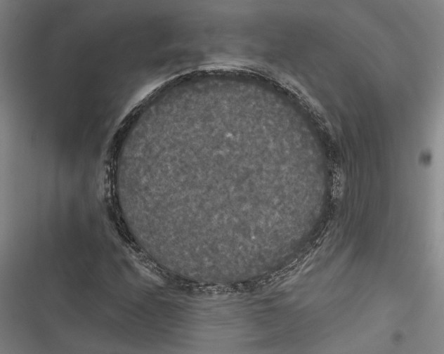 X0000116851208201001121213