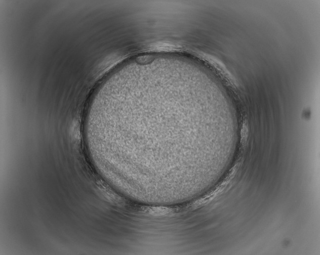 X0000116851209201001121213