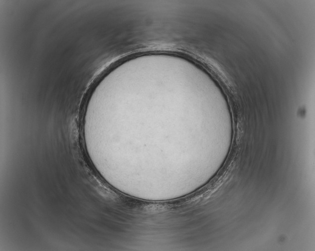 X0000116851212201001121213