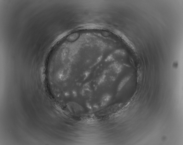 X0000116851213201001121213
