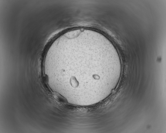 X0000116851214201001121213