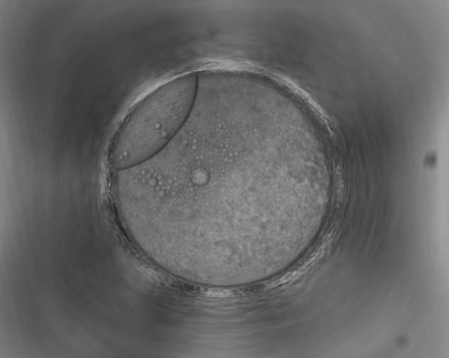 X0000116851215201001121213