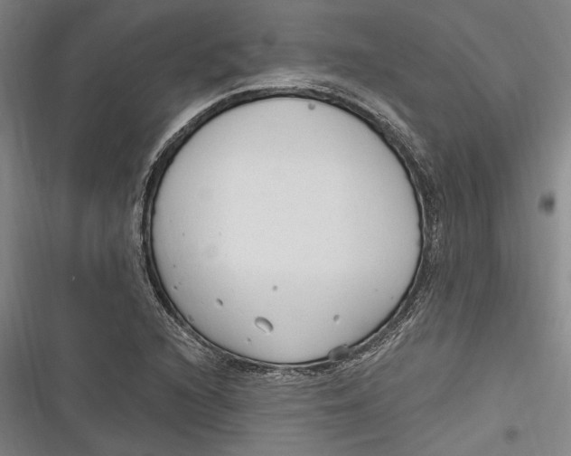 X0000116851216201001121213