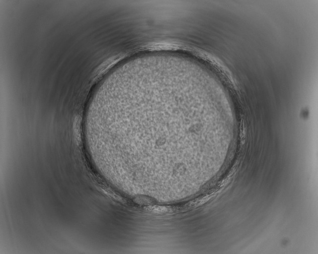 X0000116851217201001121213