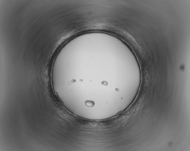 X0000116851218201001121213