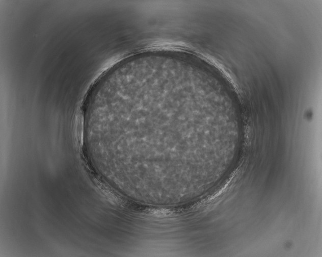 X0000116851219201001121213