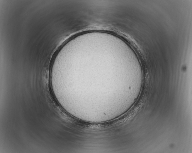 X0000116851220201001121213