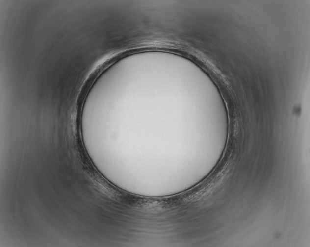 X0000116851222201001121213