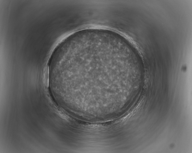 X0000116851223201001121213