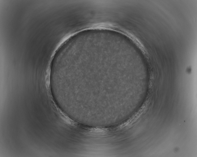 X0000116851224201001121213