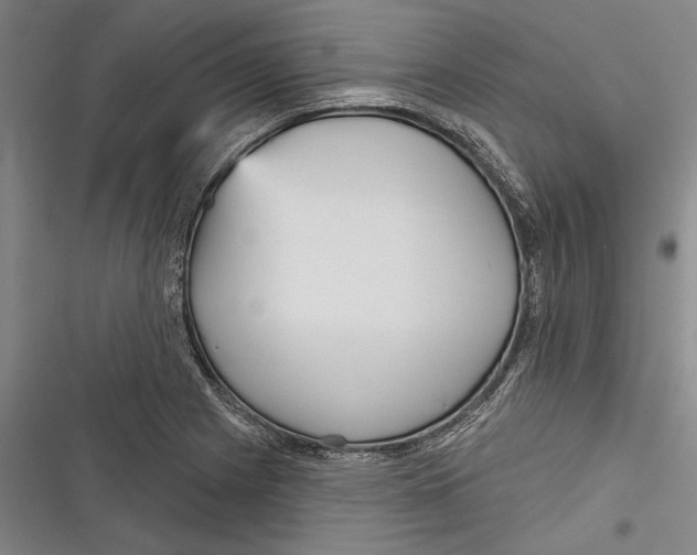 X0000116851225201001121213