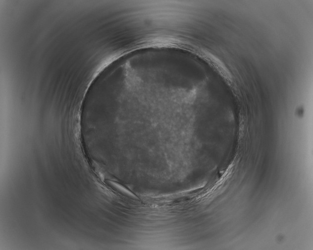 X0000116851226201001121213