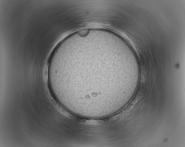 X0000116851227201001121213