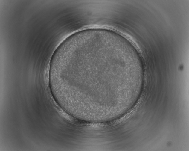 X0000116851228201001121213