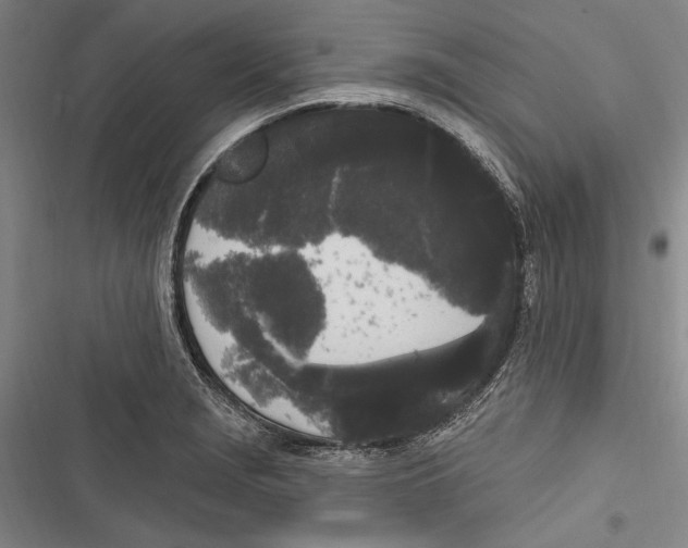 X0000116851229201001121213