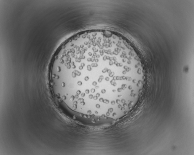 X0000116851230201001121213