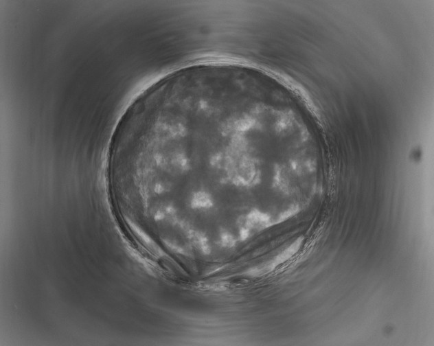 X0000116851231201001121213