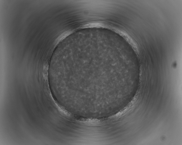 X0000116851233201001121213