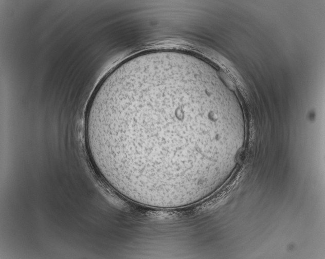 X0000116851234201001121213