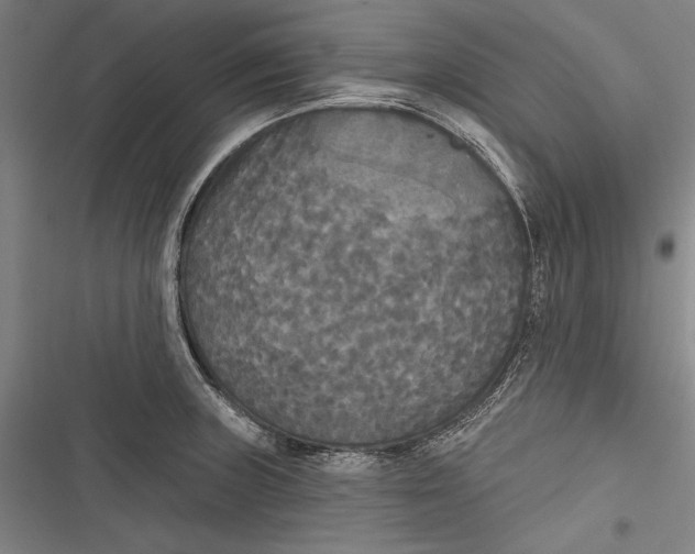 X0000116851235201001121213