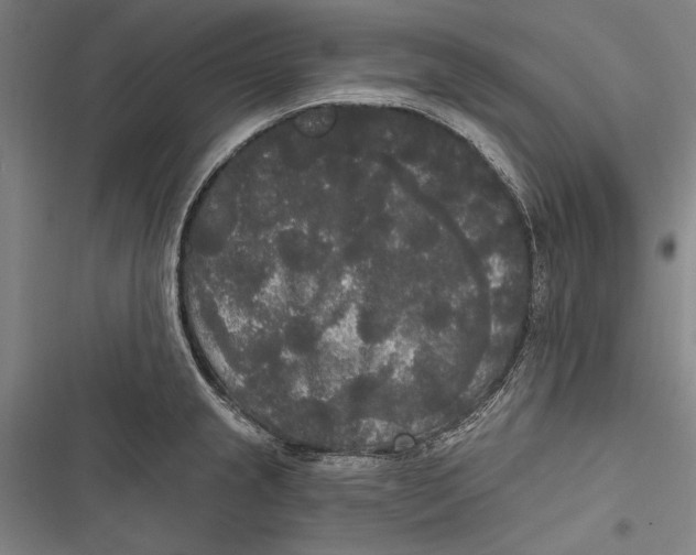 X0000116851237201001121213