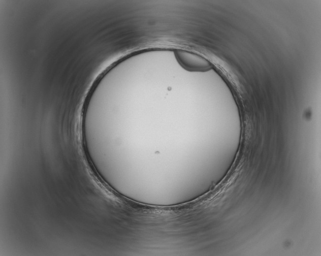 X0000116851238201001121213