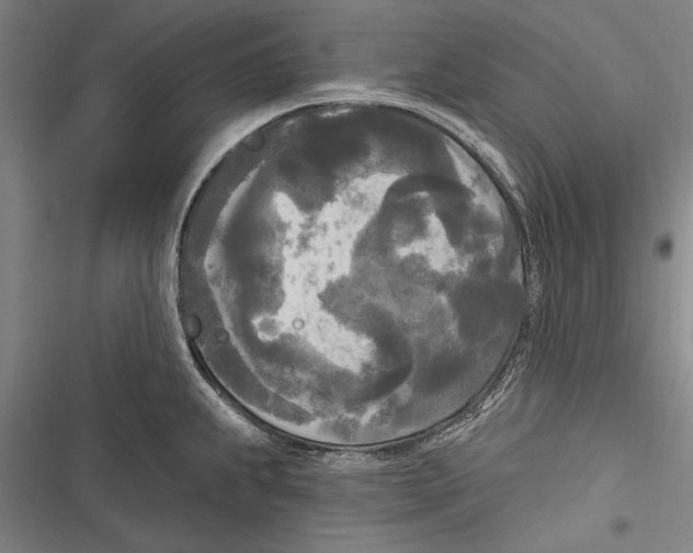 X0000116851239201001121213