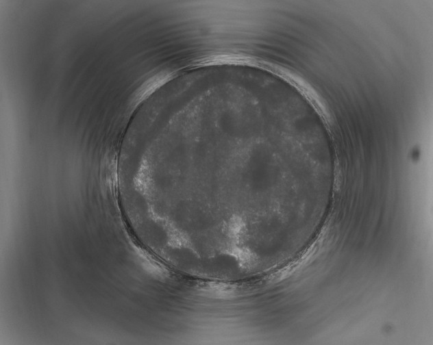 X0000116851241201001121213