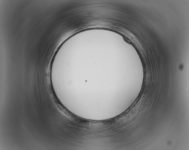 X0000116851242201001121213