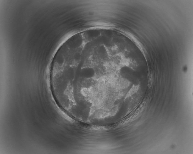 X0000116851243201001121213