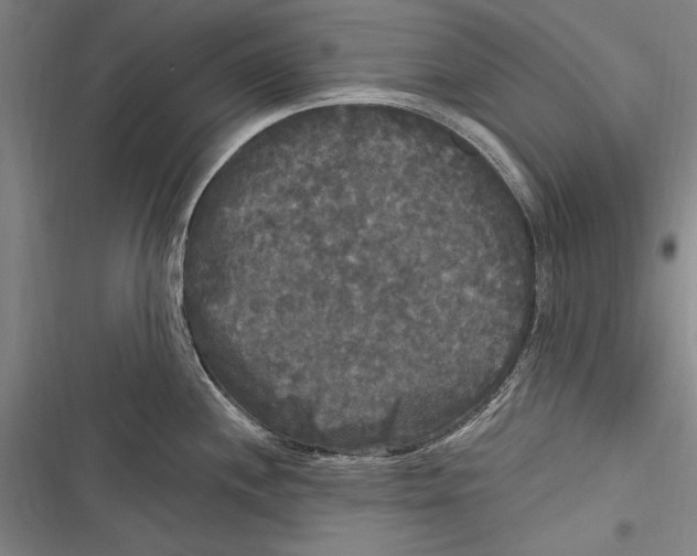 X0000116851244201001121213
