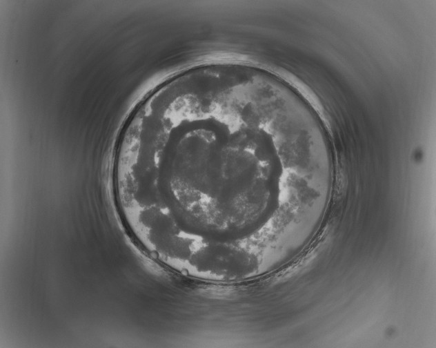 X0000116851245201001121213