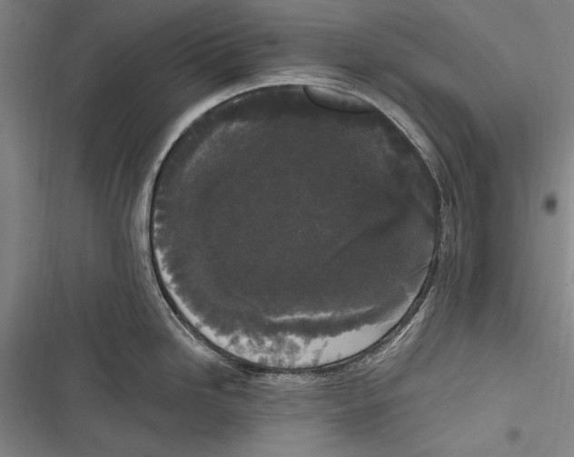 X0000116851246201001121213